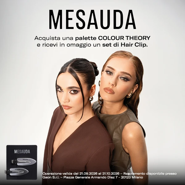 Mesauda hair clip set